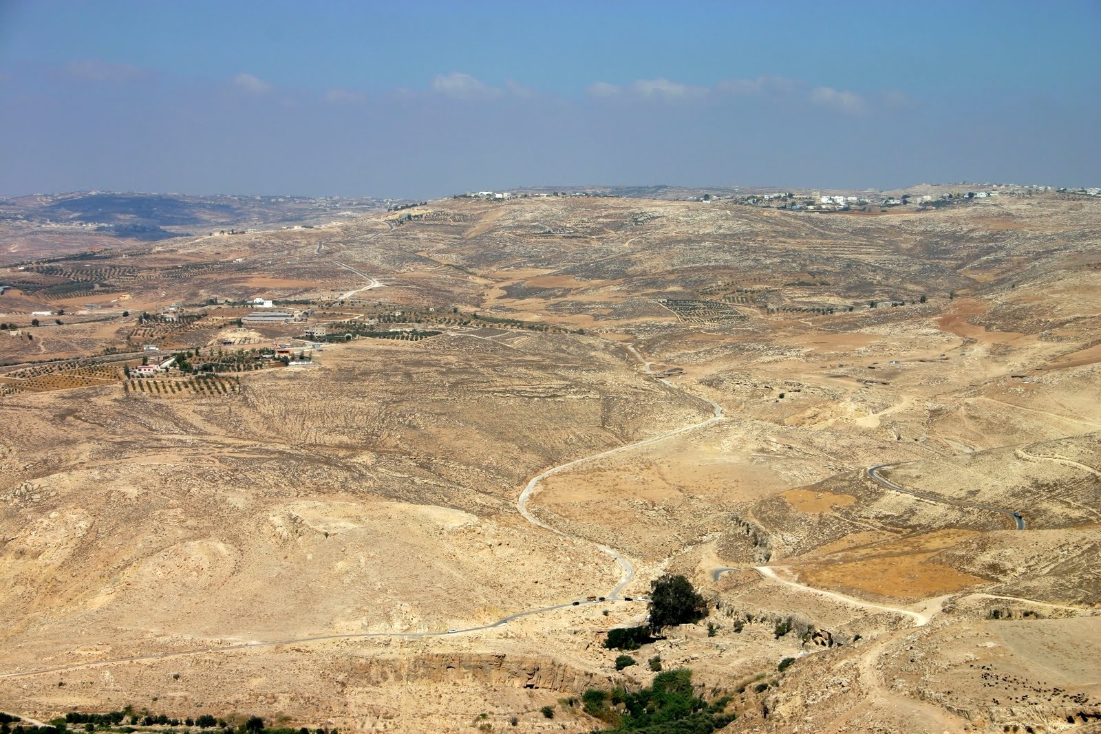 ספריה שלי – ספרים מומלצים חלק 6 ” מעשה תמר” שלומית אברמסון by Sara Dazin - Illustrated by Victoria Sara Dazin - Ourboox.com