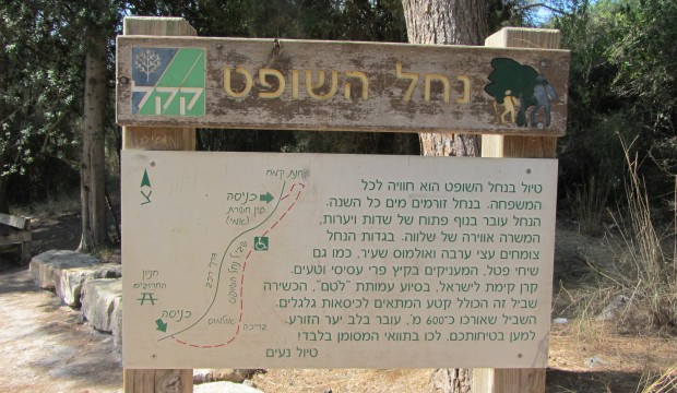 נחל השופט by alonim h - Illustrated by נועם רועי י - Ourboox.com