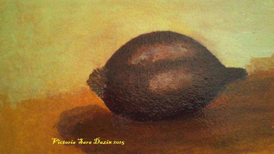 פרויקט אמן בקהילה – לוד פברואר -יוני 2015 by Sara Dazin - Illustrated by Victoria Sara Dazin, Coeditor : Dana Yoseph - Ourboox.com
