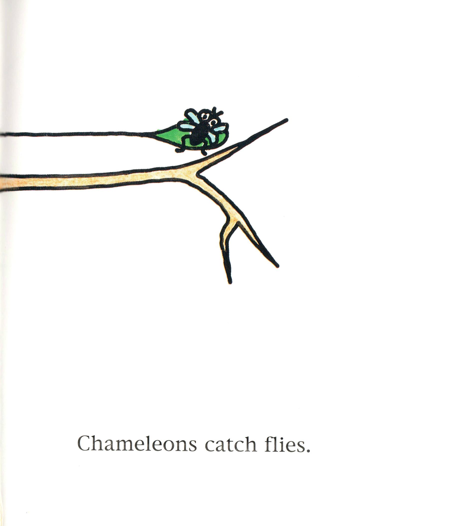 Freddy the Frog and his Enemies by Zygmunt (Zyggy) Frankel - Ourboox.com