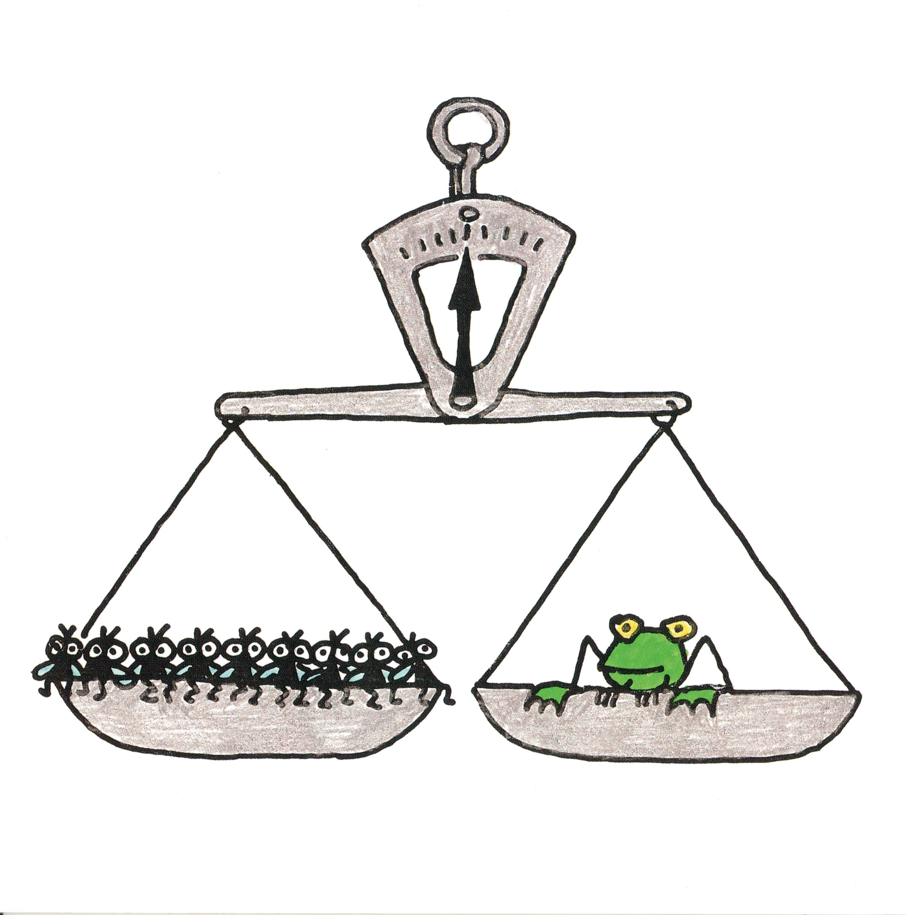Freddy the Frog and his Enemies by Zygmunt (Zyggy) Frankel - Ourboox.com