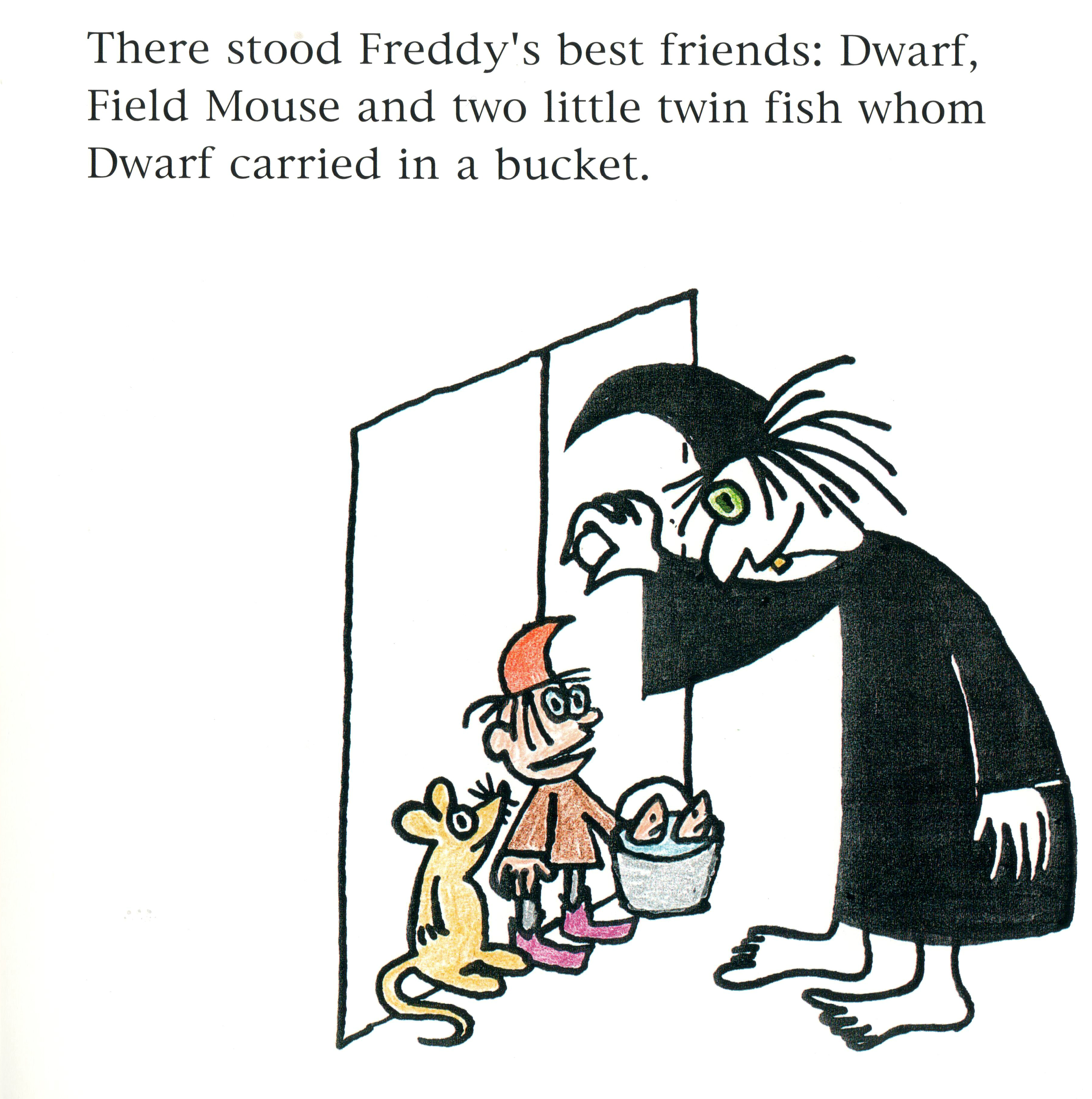 Freddy the Frog and the Princess by Zygmunt (Zyggy) Frankel - Ourboox.com