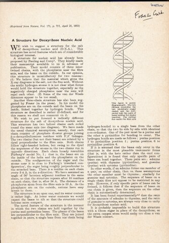 watson and crick dna research paper