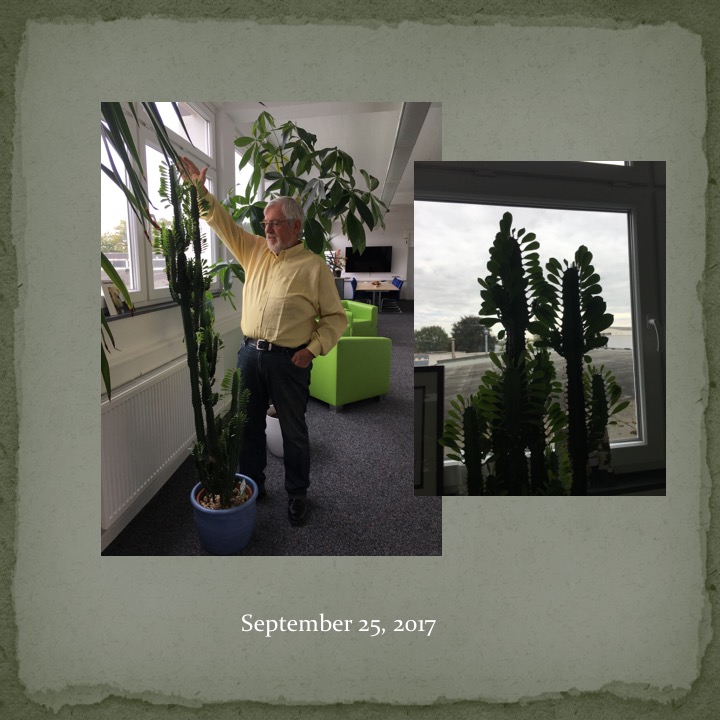Cactus Man by Stephen Pohlmann - Ourboox.com
