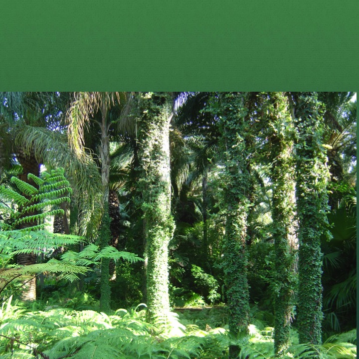 Green by Stephen Pohlmann - Illustrated by Stephen Pohlmann - Ourboox.com