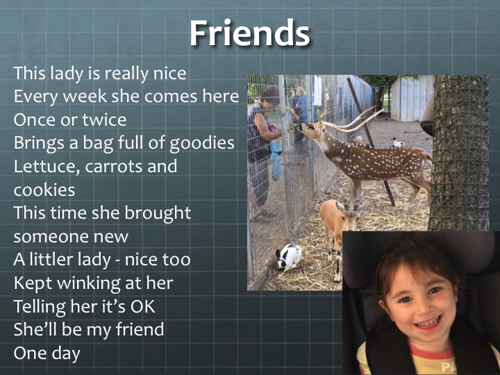 Maya’s Friends by Stephen Pohlmann - Ourboox.com