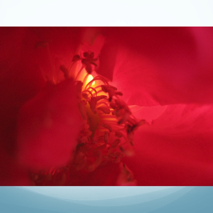 More Meaning of Red by Stephen Pohlmann - Illustrated by Stephen Pohlmann - Ourboox.com