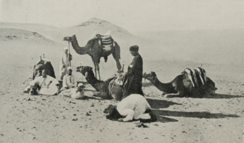 תקופת הג’אהליה: חצי האי ערב לפני עליית האסלאם by moshe aharonov - Illustrated by משה אהרונוב - Ourboox.com תקופת הג’אהליה: חצי האי ערב לפני עליית האסלאם by moshe aharonov - Illustrated by משה אהרונוב - Ourboox.com