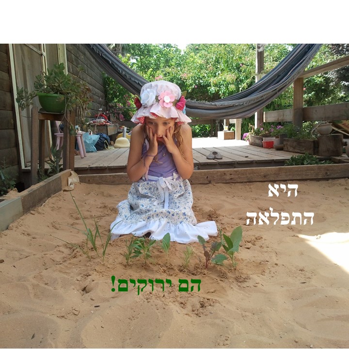 הגינה של עדן by Mirik Snir - Ourboox.com
