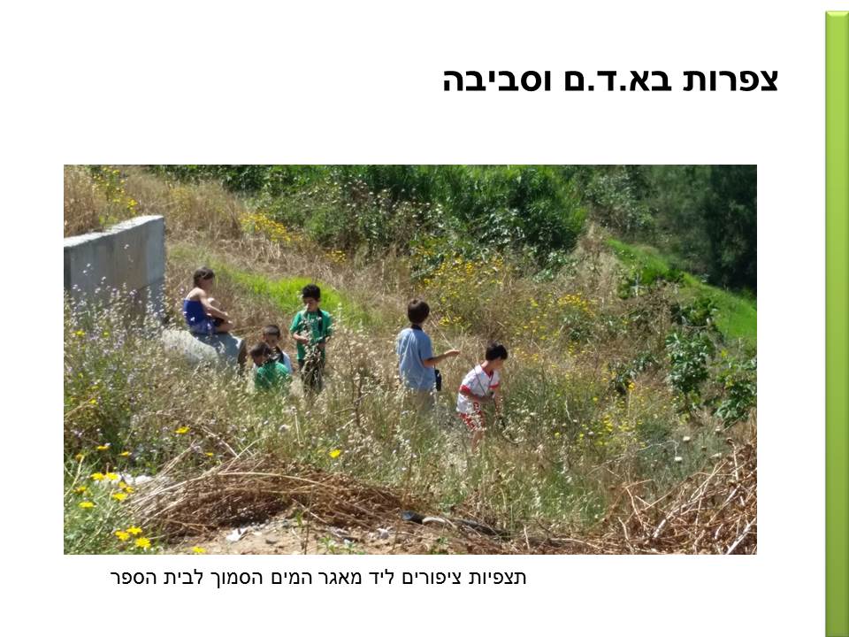 חקר ציפורים בביה”ס א.ד.ם וסביבה – קיבוץ געש – תשע”ו by hadass katz sade chen - Illustrated by הדס כץ שדה חן - והחוקרים הצעירים - Ourboox.com