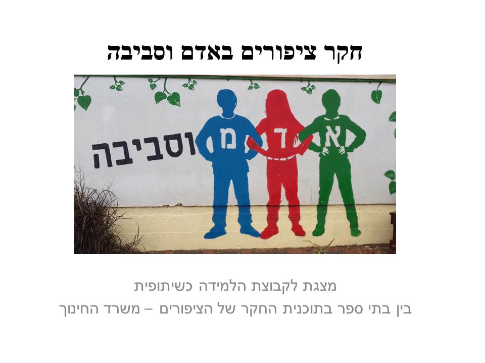 חקר ציפורים בביה”ס א.ד.ם וסביבה – קיבוץ געש – תשע”ו by hadass katz sade chen - Illustrated by הדס כץ שדה חן - והחוקרים הצעירים - Ourboox.com