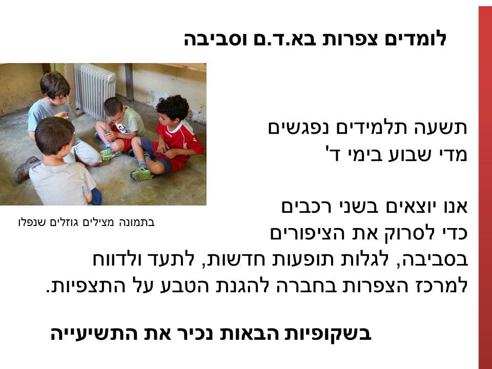 חקר ציפורים בביה”ס א.ד.ם וסביבה – קיבוץ געש – תשע”ו by hadass katz sade chen - Illustrated by הדס כץ שדה חן - והחוקרים הצעירים - Ourboox.com
