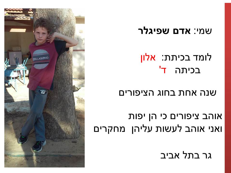חקר ציפורים בביה”ס א.ד.ם וסביבה – קיבוץ געש – תשע”ו by hadass katz sade chen - Illustrated by הדס כץ שדה חן - והחוקרים הצעירים - Ourboox.com