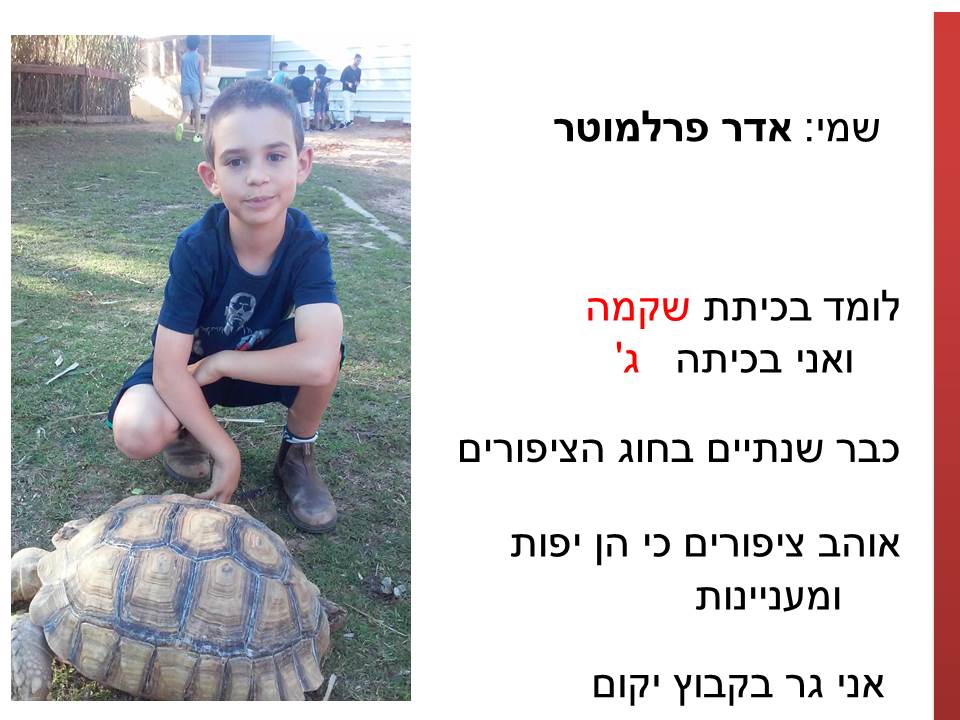 חקר ציפורים בביה”ס א.ד.ם וסביבה – קיבוץ געש – תשע”ו by hadass katz sade chen - Illustrated by הדס כץ שדה חן - והחוקרים הצעירים - Ourboox.com