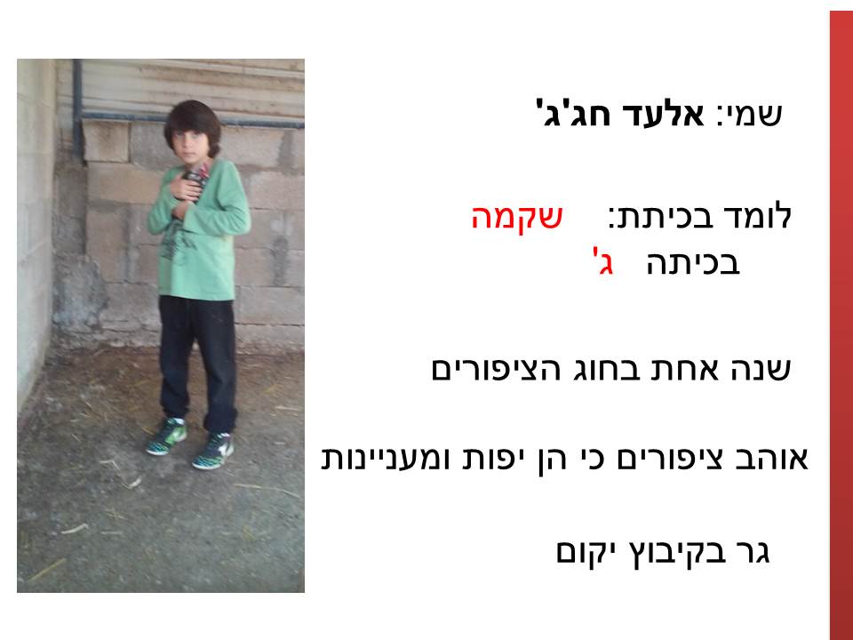 חקר ציפורים בביה”ס א.ד.ם וסביבה – קיבוץ געש – תשע”ו by hadass katz sade chen - Illustrated by הדס כץ שדה חן - והחוקרים הצעירים - Ourboox.com