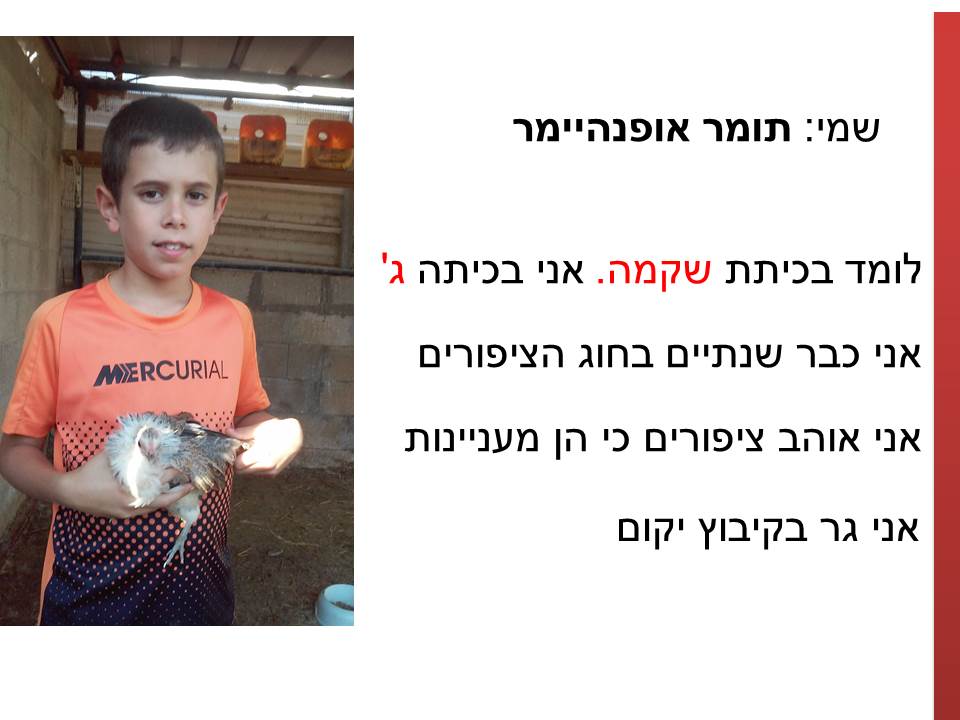 חקר ציפורים בביה”ס א.ד.ם וסביבה – קיבוץ געש – תשע”ו by hadass katz sade chen - Illustrated by הדס כץ שדה חן - והחוקרים הצעירים - Ourboox.com