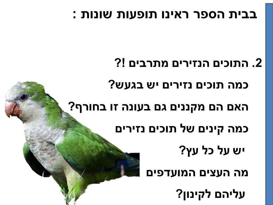 חקר ציפורים בביה”ס א.ד.ם וסביבה – קיבוץ געש – תשע”ו by hadass katz sade chen - Illustrated by הדס כץ שדה חן - והחוקרים הצעירים - Ourboox.com