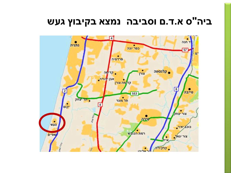 חקר ציפורים בביה”ס א.ד.ם וסביבה – קיבוץ געש – תשע”ו by hadass katz sade chen - Illustrated by הדס כץ שדה חן - והחוקרים הצעירים - Ourboox.com