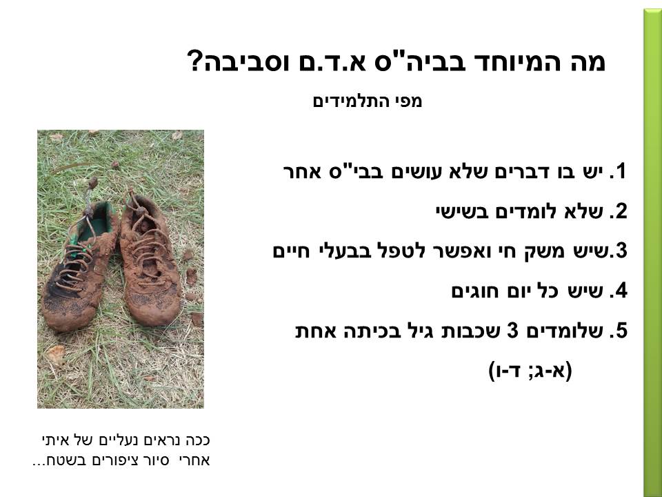חקר ציפורים בביה”ס א.ד.ם וסביבה – קיבוץ געש – תשע”ו by hadass katz sade chen - Illustrated by הדס כץ שדה חן - והחוקרים הצעירים - Ourboox.com