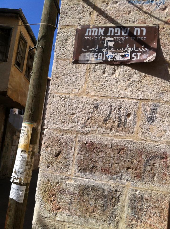 נמשלים החיים – אתי הרץ by Yoged - יגודז