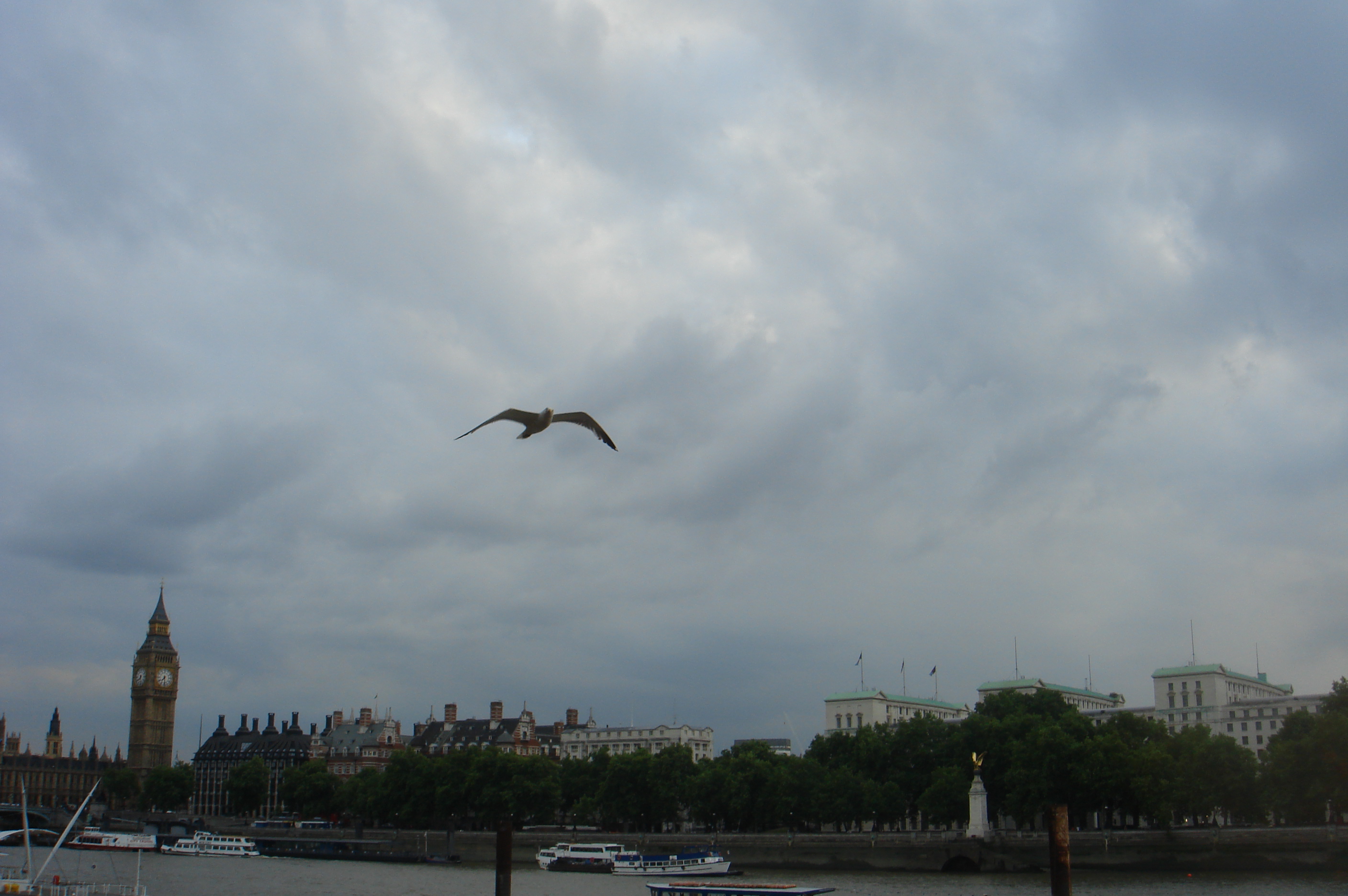 London Time by Shuli Sapir-Nevo Photo and Motto - Illustrated by Shulamit Sapir-Nevo - Ourboox.com