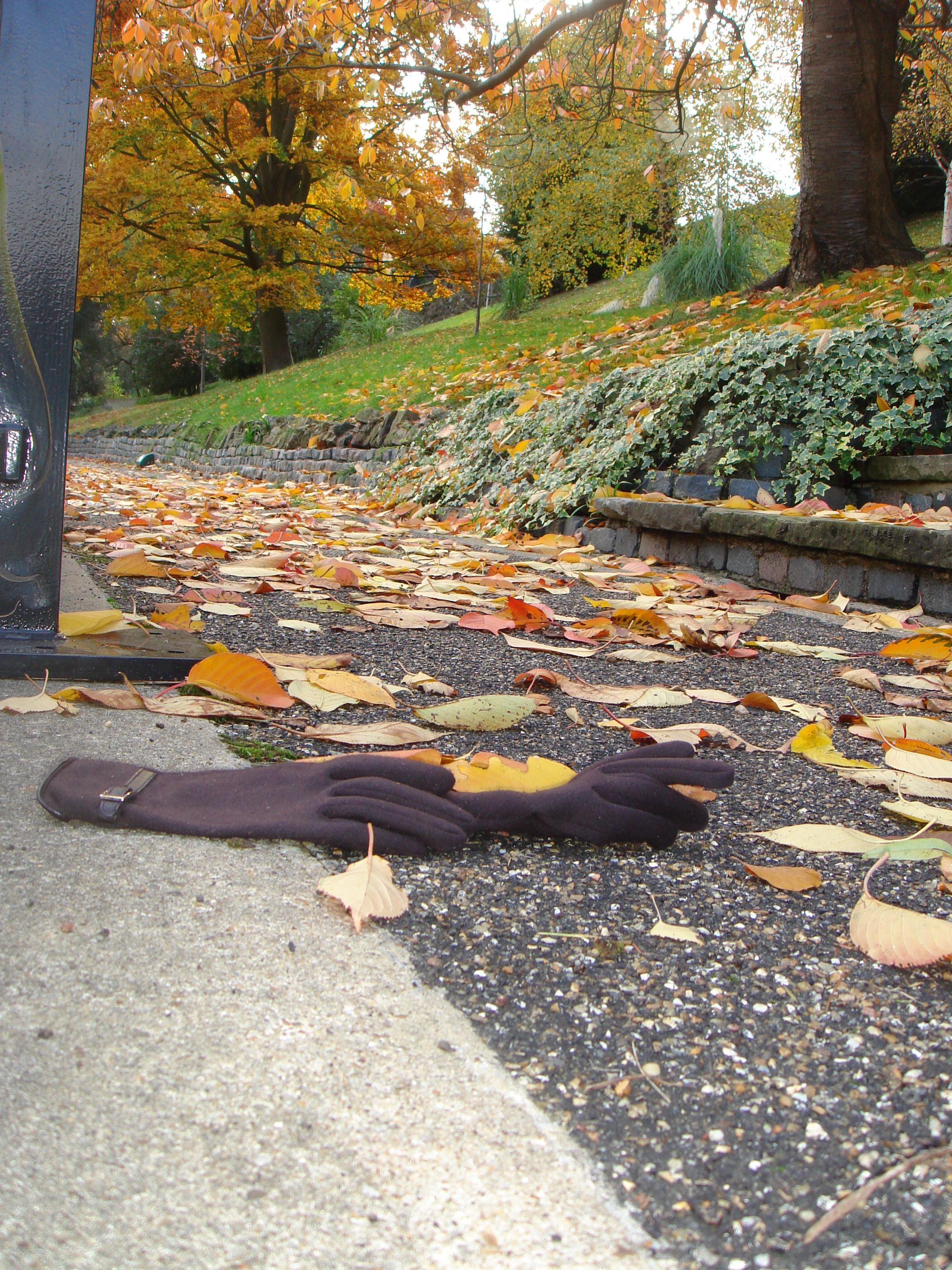 Autumn in London by Shuli Sapir-Nevo Photo and Motto - Illustrated by Shulamit Sapir-Nevo - Ourboox.com