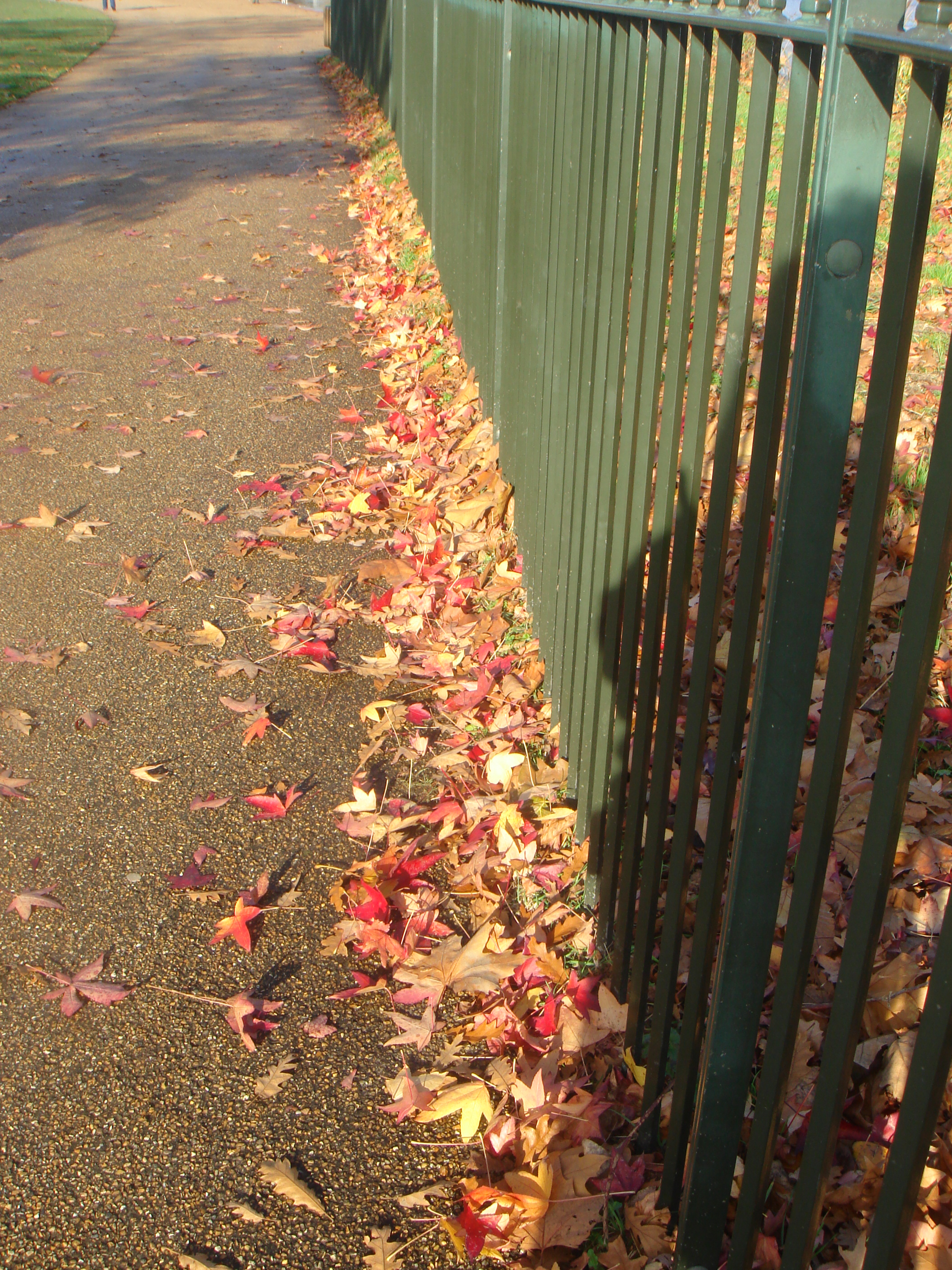 Autumn in London by Shuli Sapir-Nevo Photo and Motto - Illustrated by Shulamit Sapir-Nevo - Ourboox.com