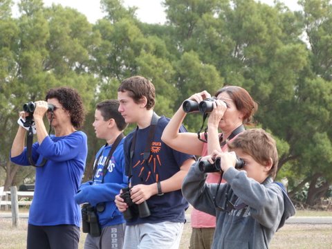 חקר ציפורים בביה”ס א.ד.ם וסביבה – קיבוץ געש – תשע”ו by hadass katz sade chen - Illustrated by הדס כץ שדה חן - והחוקרים הצעירים - Ourboox.com חקר ציפורים בביה”ס א.ד.ם וסביבה – קיבוץ געש – תשע”ו by hadass katz sade chen - Illustrated by הדס כץ שדה חן - והחוקרים הצעירים - Ourboox.com