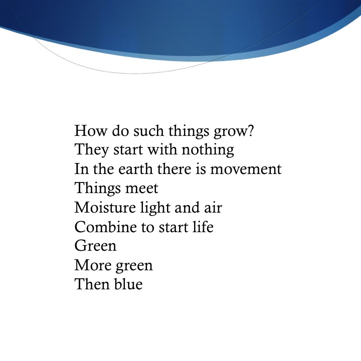 Into the Blue by Stephen Pohlmann - Illustrated by Stephen Pohlmann - Ourboox.com