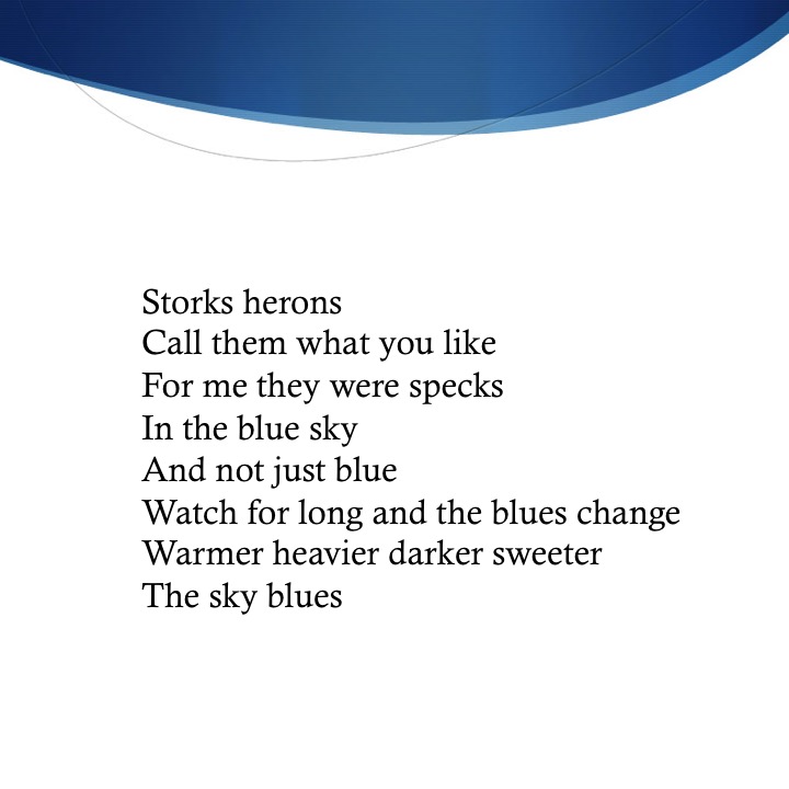 Into the Blue by Stephen Pohlmann - Illustrated by Stephen Pohlmann - Ourboox.com