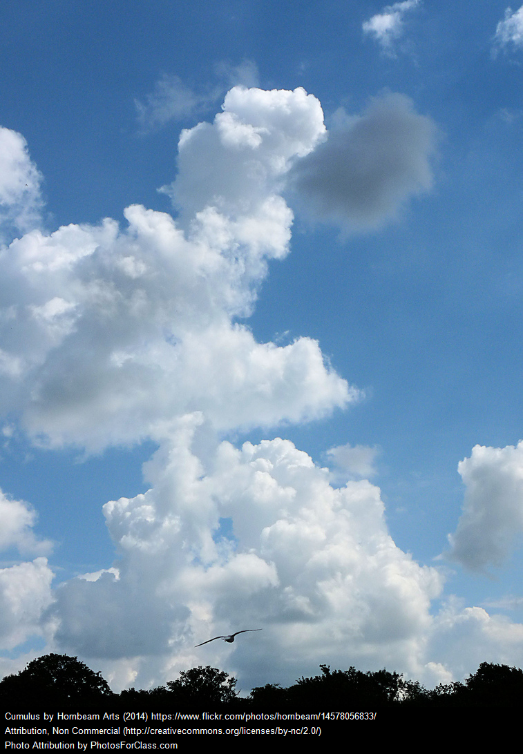 Weather Study Guide by Kim Lochbaum - Ourboox.com