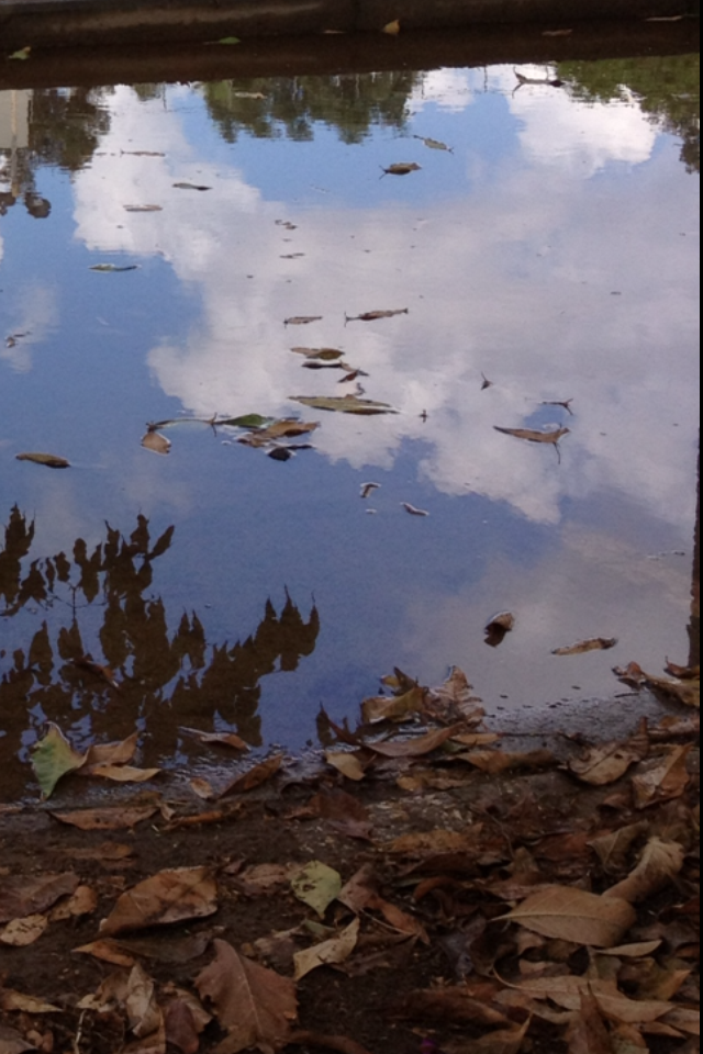 November Tears by Shulamit Sapir-Nevo - Illustrated by Shulamit Sapir-Nevo - Ourboox.com