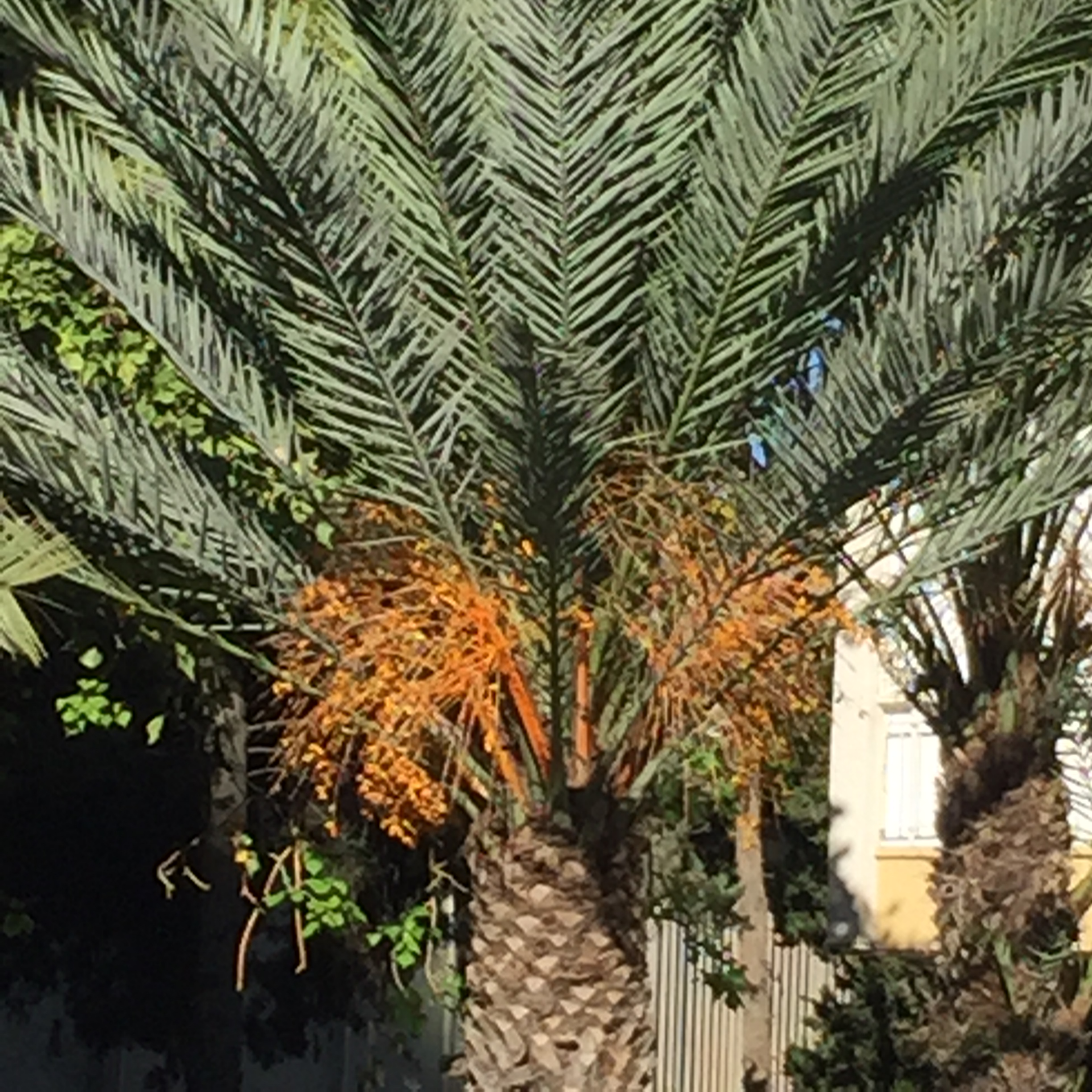 Mel’s 10 Tips: Ten Things I Believe by Mel Rosenberg - מל רוזנברג - Ourboox.com