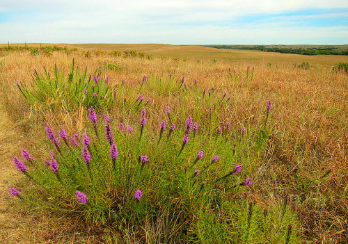9 Reasons to Visit Kansas State by Jared Clark - Ourboox.com 9 Reasons to Visit Kansas State by Jared Clark - Ourboox.com