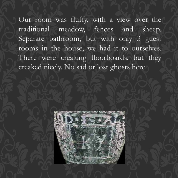 The Glass of my Dreams by Stephen Pohlmann - Illustrated by Images of Verzelini glasses from the international glass collecting community - Ourboox.com