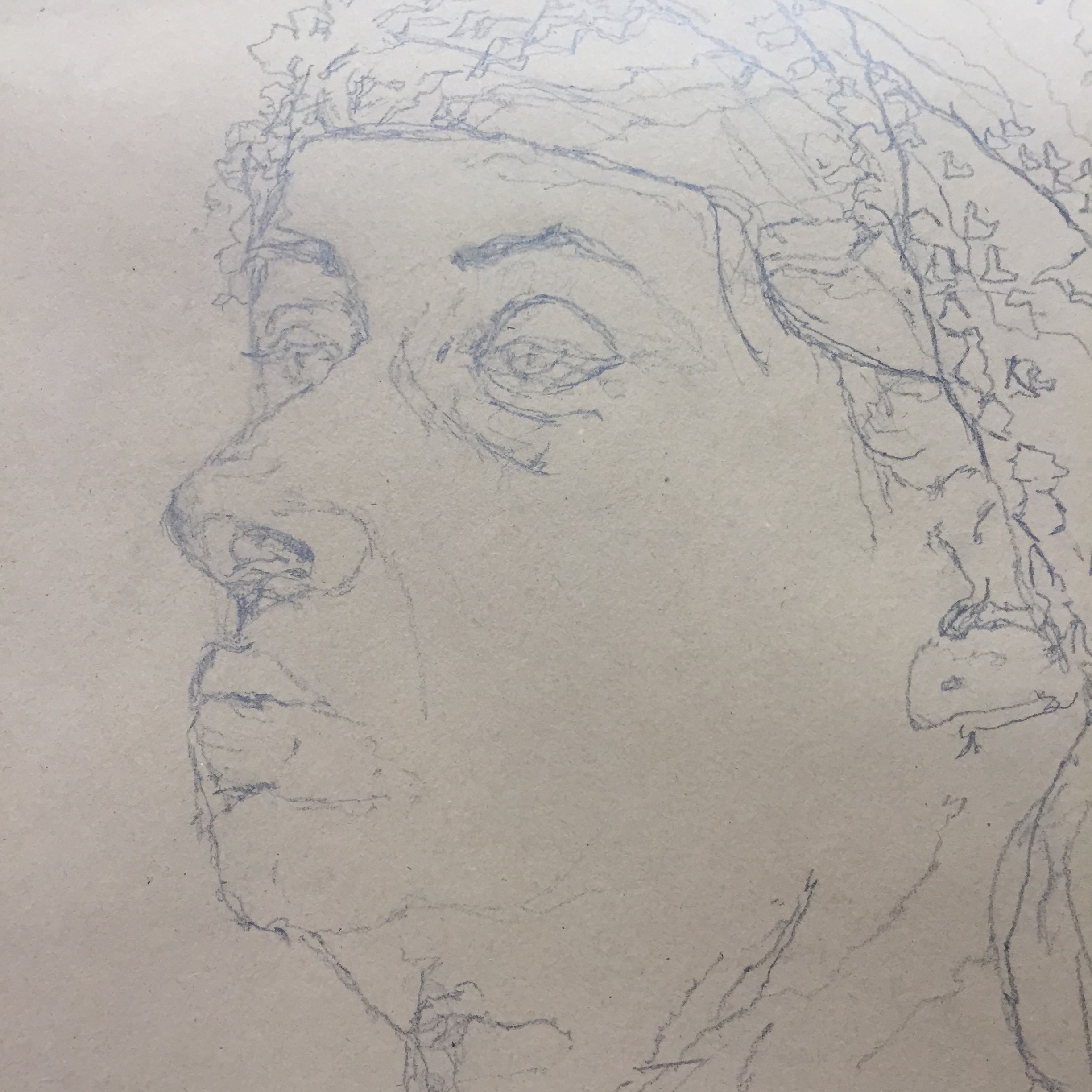 Sheer Portraits at Shenkar College by Mel Rosenberg - מל רוזנברג - Ourboox.com