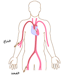 التكنلوجيا by shaimaa shbib - Illustrated by shaimaa shbib - Ourboox.com