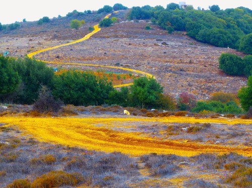 אקו לא לוגי: המיחזור והאיוולת, מסע ללא קיימות – כל הספרים by Yoged - יגודז