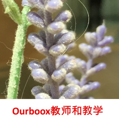 Ourboox Teacher Tutorial, Chinese Version – Ourboox教师和教学 – Mel Rosenberg by Mel Rosenberg - מל רוזנברג - Ourboox.com Ourboox Teacher Tutorial, Chinese Version – Ourboox教师和教学 – Mel Rosenberg by Mel Rosenberg - מל רוזנברג - Ourboox.com