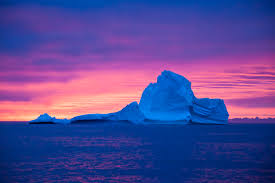 Antarctica's Ecosystem:What Happens in the Arctic - Ourboox