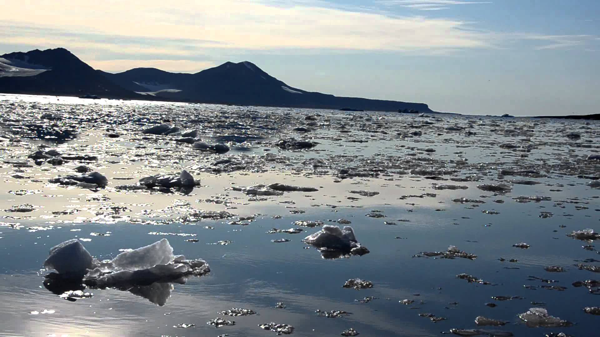 a harsh cold and windy climate the arctic tundra ecosystem ourboox tundra ecosystem