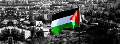 On Palestine by shaimaa shbib - Illustrated by shaimaa shubib - Ourboox.com