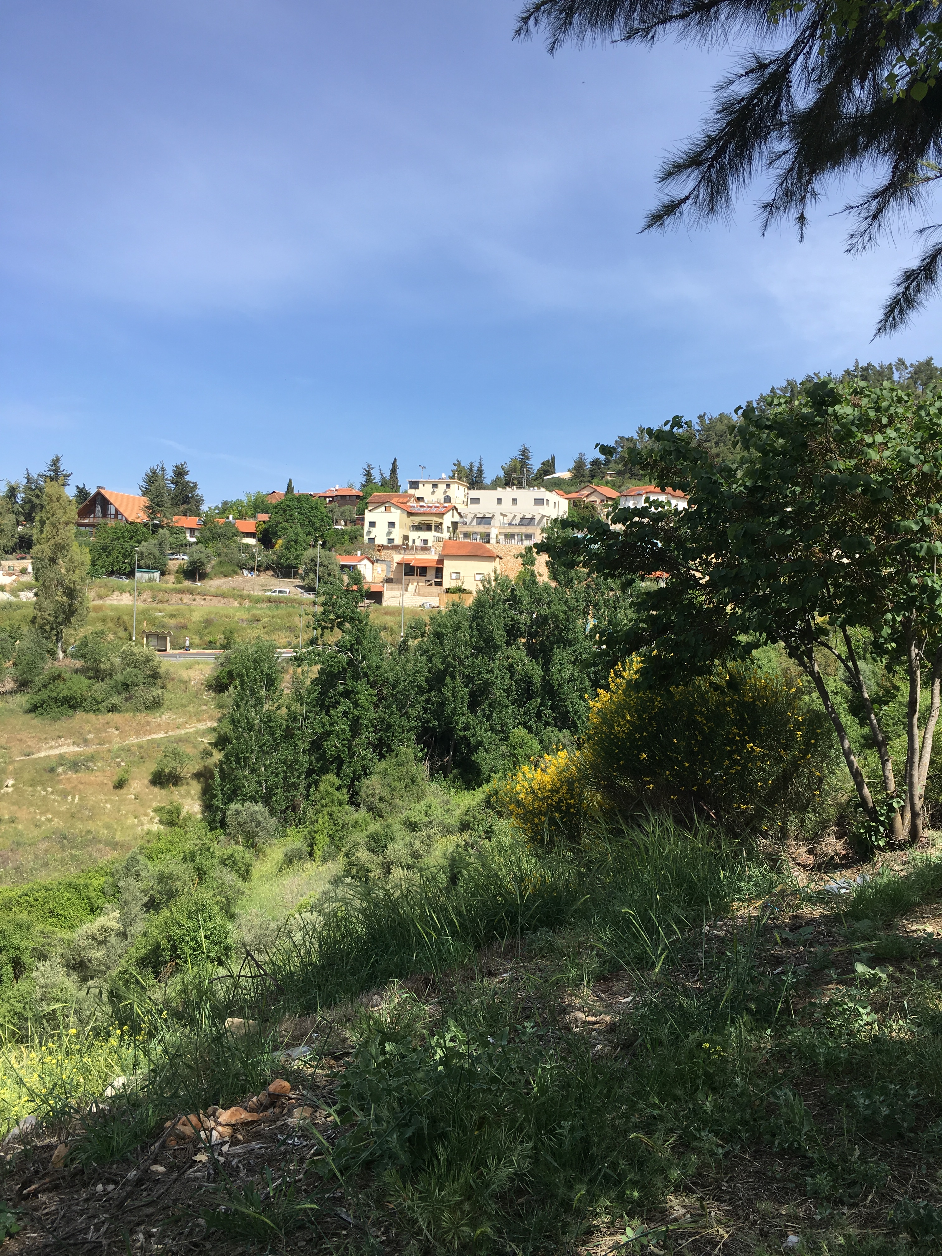 צפת של ברוך פלד by Shuli Sapir-Nevo Photo and Motto - Illustrated by שולמית ספיר-נבו - Ourboox.com