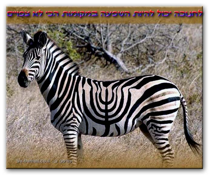 How Zebras Got Their Stripes Ourboox