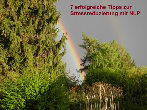 7 erfolgreiche Tipps zur Stressreduzierung mit NLP by Adelheid Ruppelt - Illustrated by Adelheid Ruppelt - Ourboox.com 7 erfolgreiche Tipps zur Stressreduzierung mit NLP by Adelheid Ruppelt - Illustrated by Adelheid Ruppelt - Ourboox.com