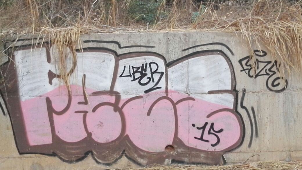 ליצן חצר וקוף גאון תקציר שיחה – לסוזאנה קרוטר by Yoged - יגודז