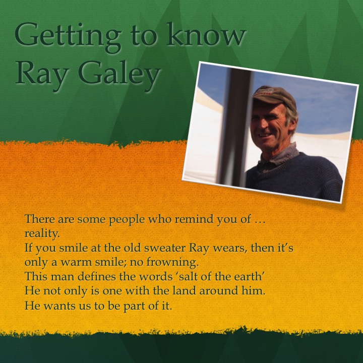 Galey’s Farm by Stephen Pohlmann - Illustrated by Stephen Pohlmann - Ourboox.com