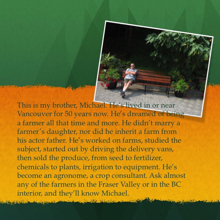 Galey’s Farm by Stephen Pohlmann - Illustrated by Stephen Pohlmann - Ourboox.com