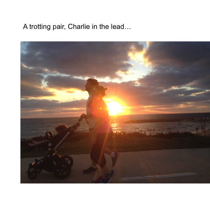 Today’s Sunset by Stephen Pohlmann - Illustrated by Stephen Pohlmann - Ourboox.com
