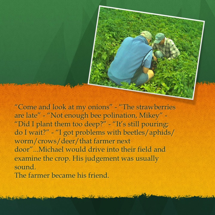 Galey’s Farm by Stephen Pohlmann - Illustrated by Stephen Pohlmann - Ourboox.com